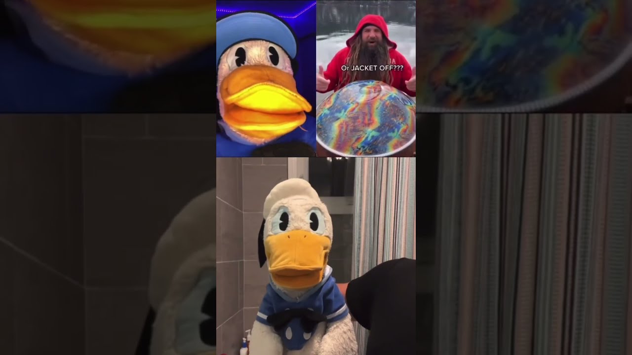 Donald Duck Cant Handle It With Donald Duck Shorts Youtube 
