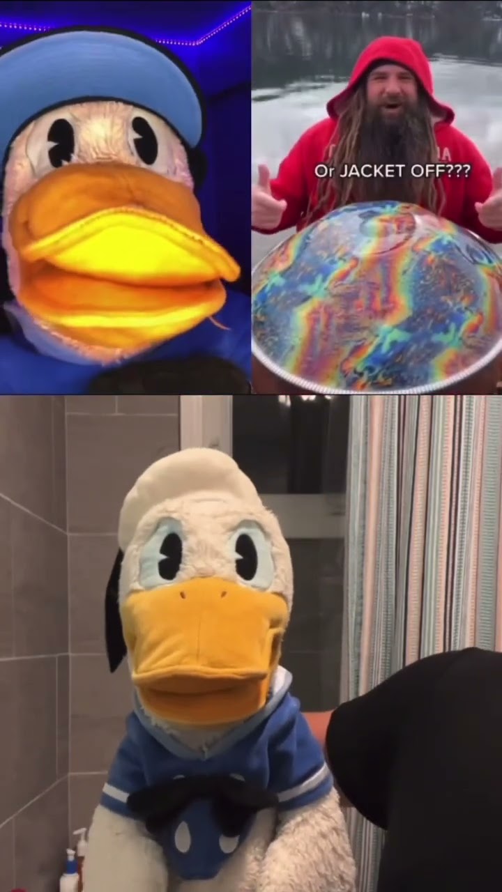 Donald Duck - Donald, der Bademeister