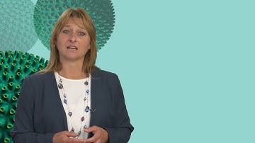 Virus Contamination Prevention in Upstream Processes