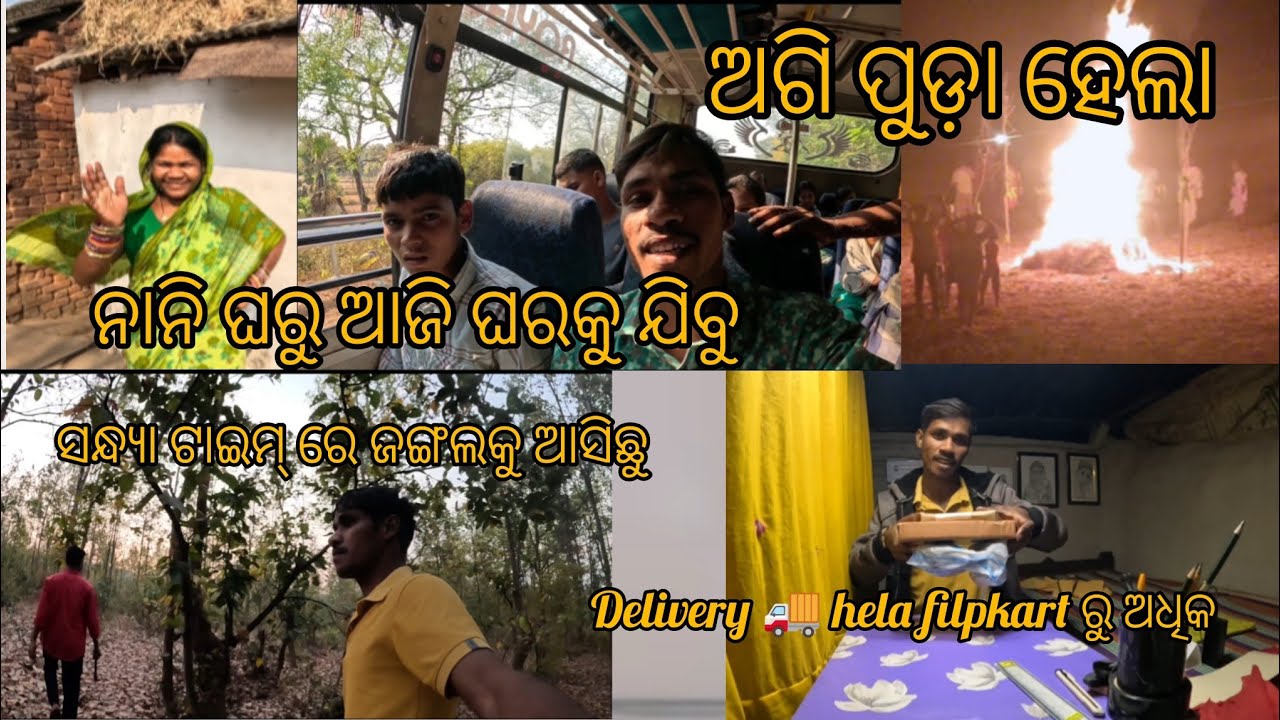 ନାନି ଘରୁ ଫେରିକି ଜଙ୍ଗଲକୁ ଆସିଛୁ