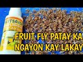 MABISANG PAMATAY SA FRUIT FLY