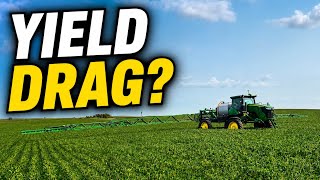 This Insect is Destroying My Soybean Field!!