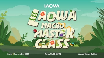 Nocturnal Details: Mastering Macro Photography After Dark by Stewart Wood | Laowa Macro Master Class