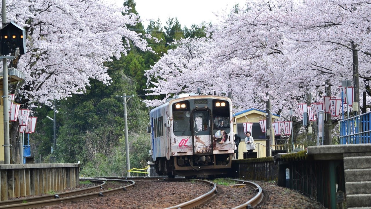 【LIVE】能登鹿島駅周辺（能登さくら駅）石川県穴水町