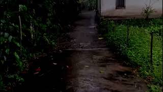 Extreme Rainstorm 😱 Walking in Heavy Rain Village 🌧️ For Deep Sleep