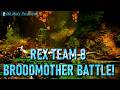 BROODMOTHER Battle! Rex Team 8 Unleashes Chaos... - Ark Survival Ascended - The Island (EP321)