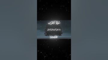 سورة الأحزاب|4|القارئ:#محمد_اللحيدان #قران #quran #قران_كريم #تلاوة #تلاوة_هادئة #آية #تلاوة_خاشعة