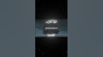 سورة الأحزاب|4|القارئ:#محمد_اللحيدان #قران #quran #قران_كريم #تلاوة #تلاوة_هادئة #آية #تلاوة_خاشعة