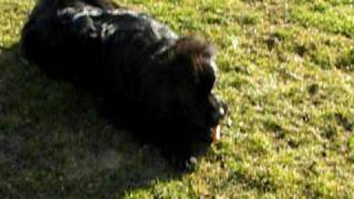 DSCN0146.AVI