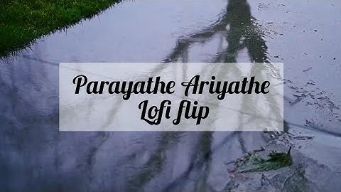 Parayathe Ariyathe (Lofi Flip) (feat. Sruthi)