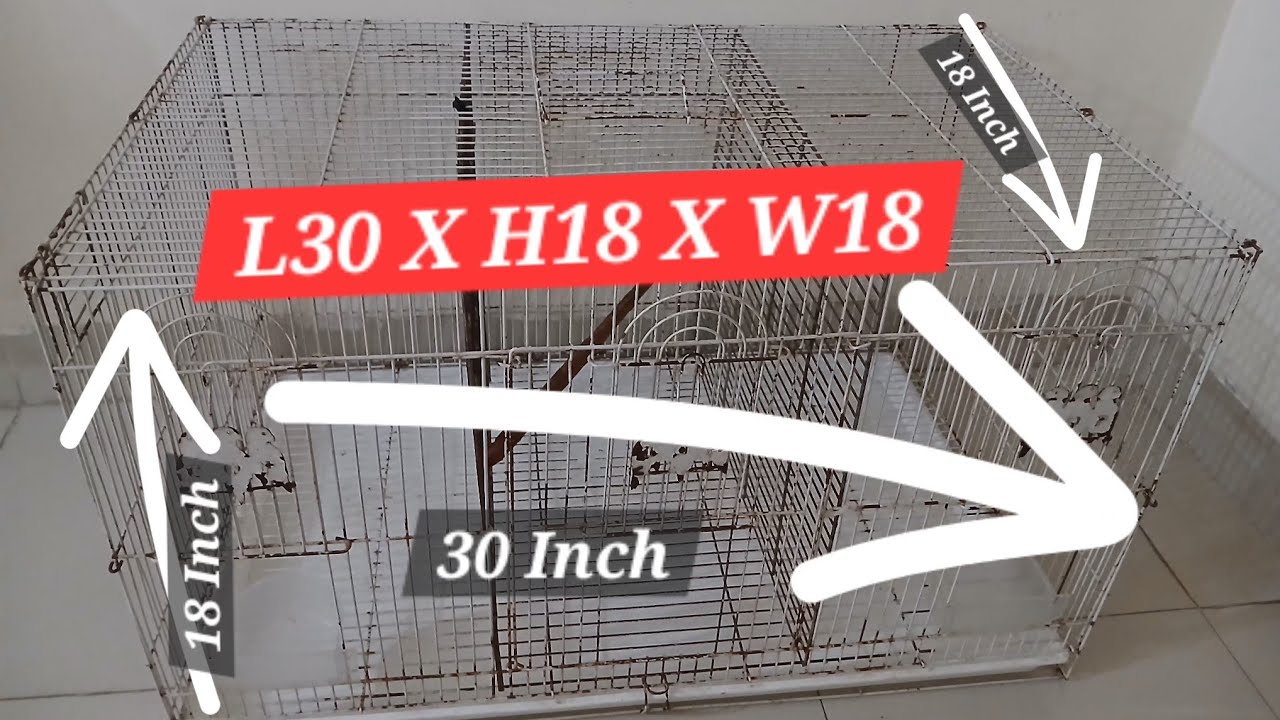 Chinese Cage | L30"/ H18"/ W18"