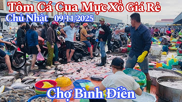 Bà Con Tấp Nập Đi Chợ Bình Điền Sáng Chủ Nhật - Tôm Cá Cua Mực Xổ Giá Rẻ | 09/11/2025