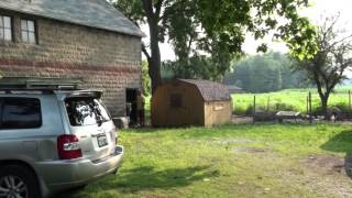 Chicken and goat farm in rural Indiana, USA