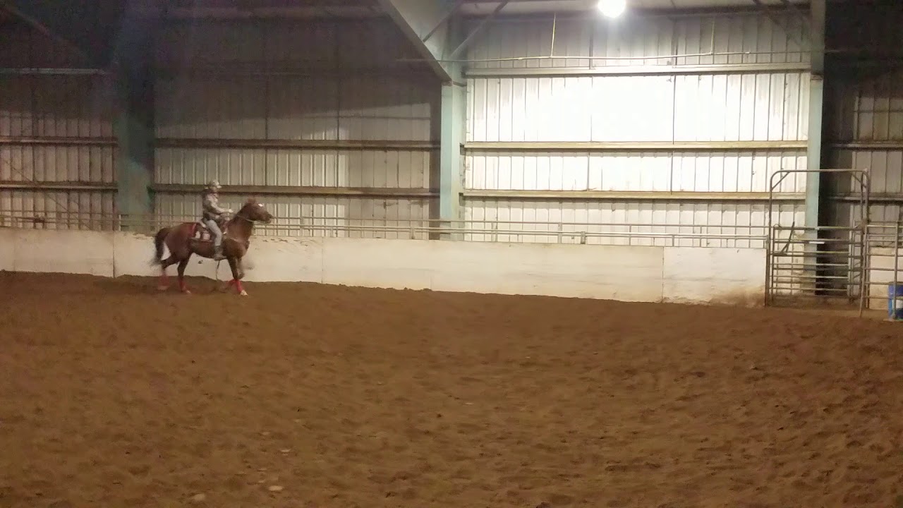 Barrel Racing practice start on correct lead - YouTube