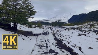 Icy Tundra Nature Walk 4K (With Ambient Nature Sounds And Music)