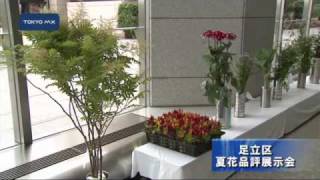 足立区　夏花の品評展示会