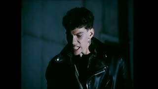 Curly Shepard Scene Pack Wealth