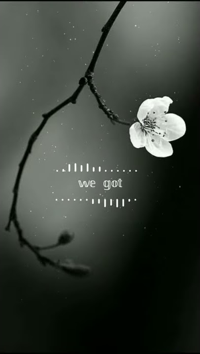 Memories - Maroon 5 Full Screen Status | Ankit Solanki AS