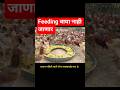 feeding वाया नाही जाणार 🐓🔝 #agribusiness #freerangechickens #poultrytips #modernfarming