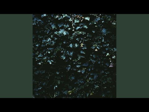 4am Video