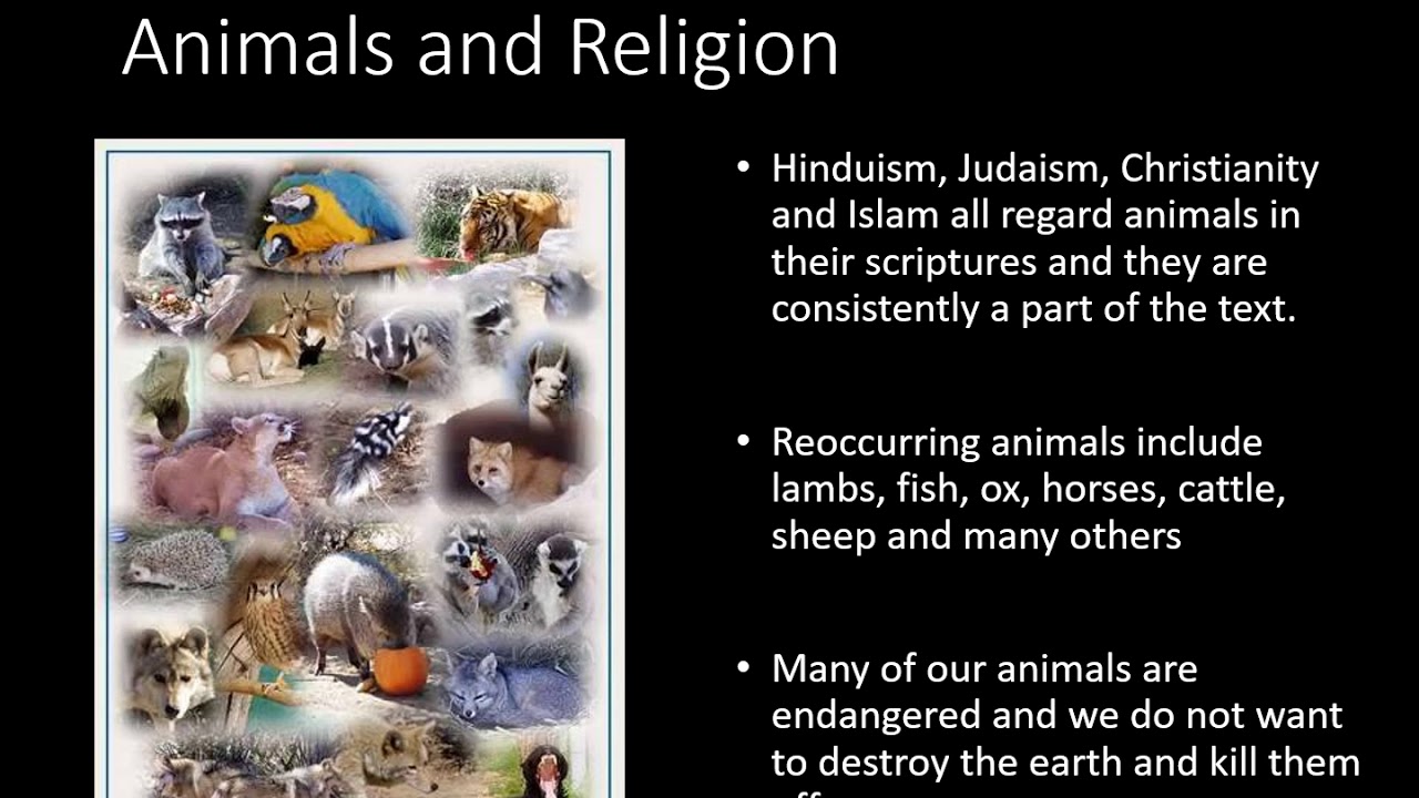 Environmental  Ethics and religion discussion made by Dr Abhishek Chandra, University of Delhi