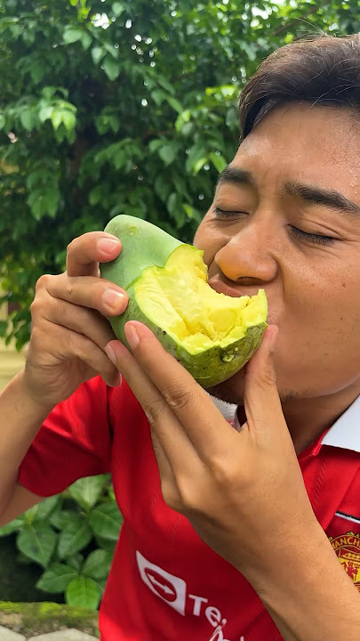 Buah mangga milik tetangga rasanya lebih enak