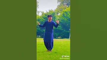 جاپانی مست 