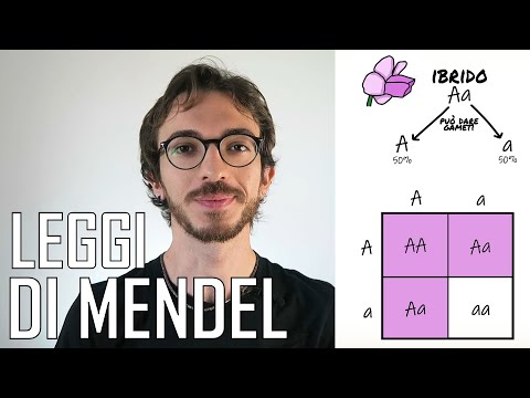 Video: Quando Gregor Mendel ha scoperto i principi fondamentali dell'ereditarietà?