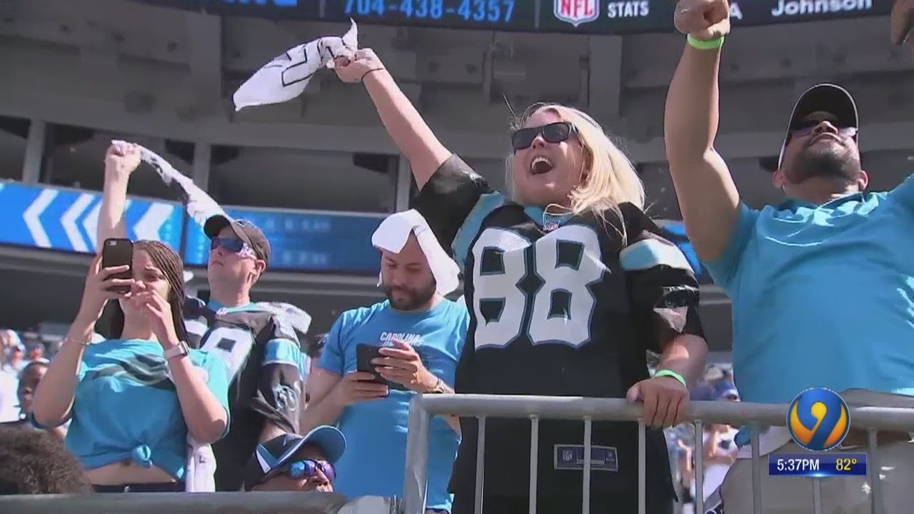 Panthers Psl Owners Wondering What Their Season Will Look Like