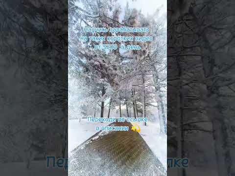 Новый способ заработка на коротких видео