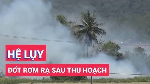 Nhiều hệ lụy từ việc đốt rơm rạ sau thu hoạch