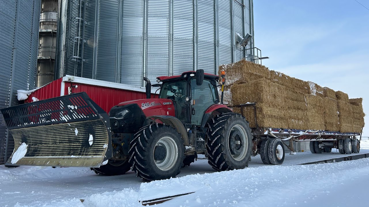 Снег, солома и застрявшие самосвалы — вот это да!
