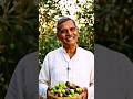 Indian Jolpai Garden🫒Village Farmer Selling Fresh Fruit Cinematic Hindi Shorts#Jolpai #OliveFruit...