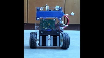 Two-wheels Self-balancing Robot Using Stepper Motors (V0.90S)