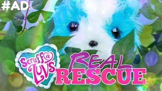 Scruff-A-Luvs Real Rescue Plush Rescue Pets