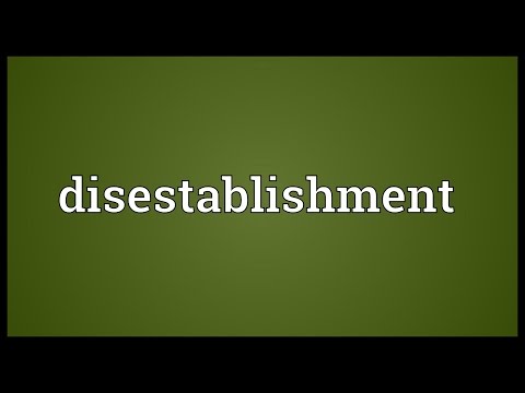 Vídeo: O que significa desestabelecimento?