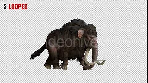 Mammoth 4 Realistic Pack 2 | Motion Graphics - Envato elements