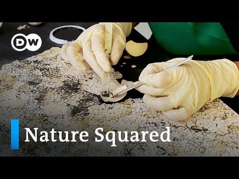 New Upcycling: Nachhaltiges Luxusdesign aus Naturmaterialien | Euromaxx