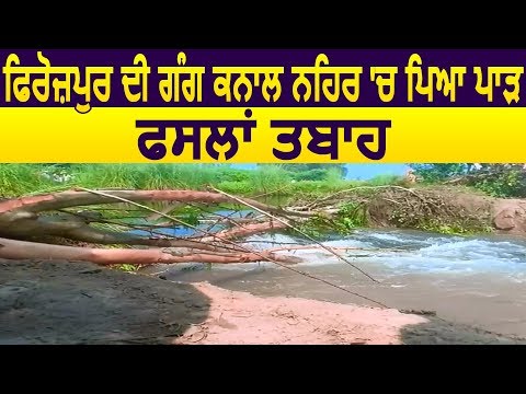 देखें कैसे टूटी Firozpur की River