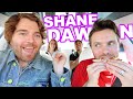 Couples Therapy with Shane Dawson