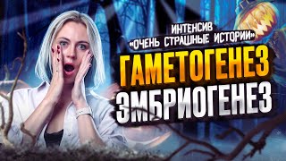 Гаметогенез. Эмбриогенез | Ксения Напольская