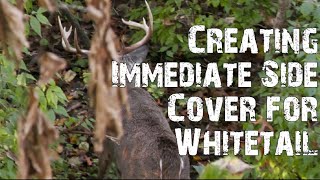 Creating Immediate Side Cover for Whitetail
