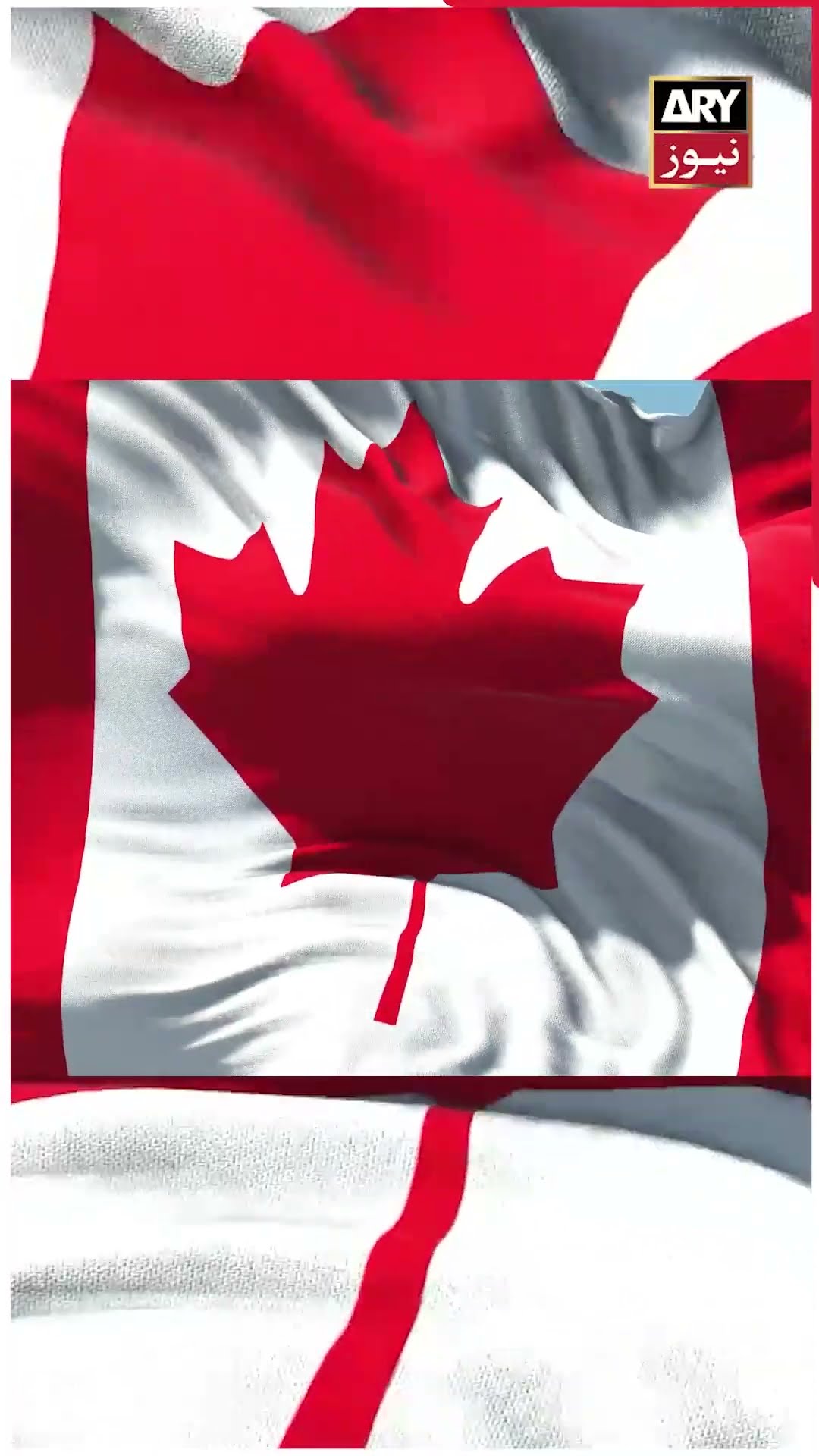 Trudeau to Trump #justintrudeau #donaldtrump #canada #usa #shorts #ytshorts #youtubeshorts #arynews