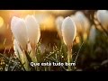 The Beatles - Here Comes The Sun Legendado Traduçao 4K