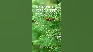 Thumbnail of 60-Minute Yoga Nidra with Serene Rainshower Sounds: Guided Meditation for Deep Sleep