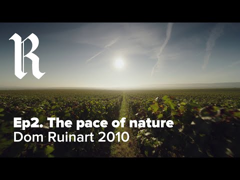 DOM RUINART 2010 | Ep.2 The Pace Of Nature