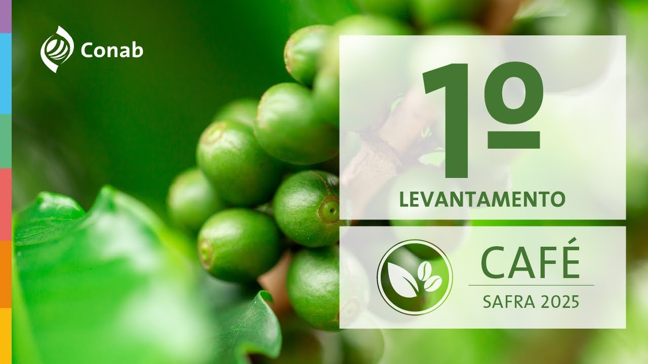 1º Levantamento da Safra de Café 2025