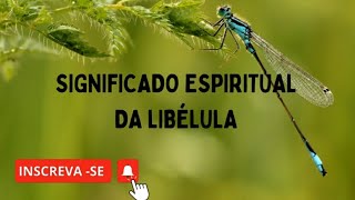 Spiritual Meaning Of Dragonfly spirituality intuitivereading symbology dragonfly mystical
