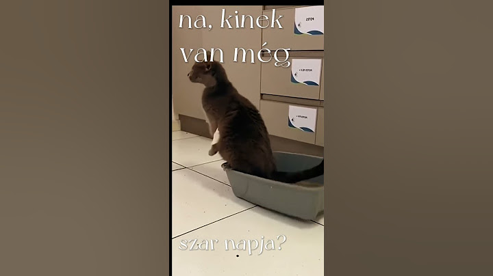 na, kinek van még szar napja? #cica #macska #macskaalom #szarnap #xarnap #cat #badday