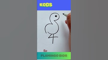 Quick and Easy Flamingo Drawing Tutorial for Kids and Adults!